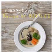 Recipe Of BEETLES -カブトムシのレシピ-のジャケット写真